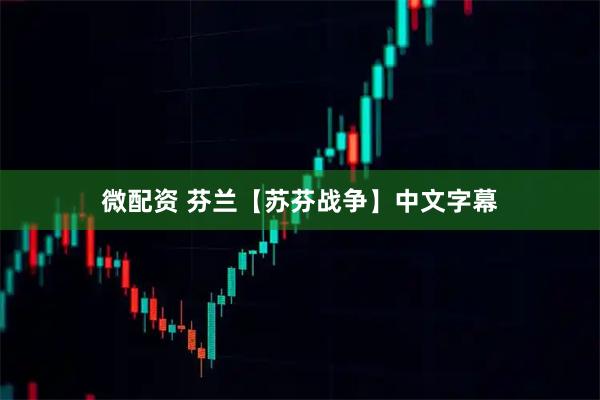 微配资 芬兰【苏芬战争】中文字幕