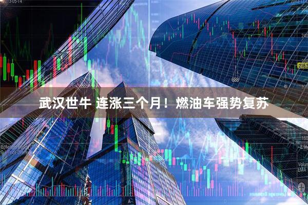 武汉世牛 连涨三个月！燃油车强势复苏