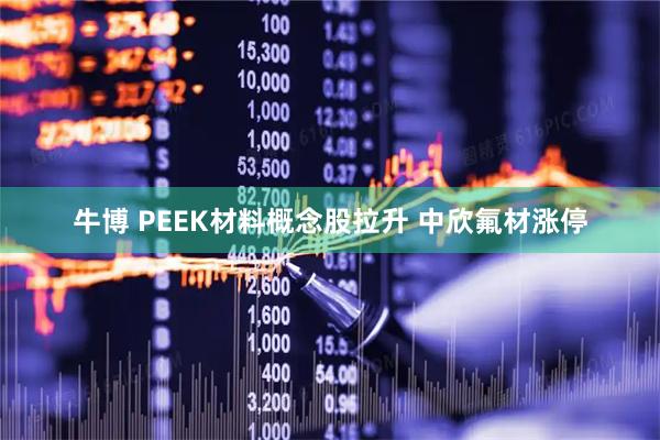牛博 PEEK材料概念股拉升 中欣氟材涨停