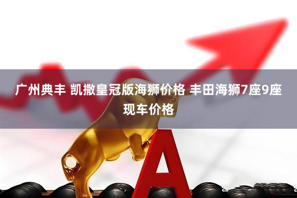 广州典丰 凯撒皇冠版海狮价格 丰田海狮7座9座现车价格